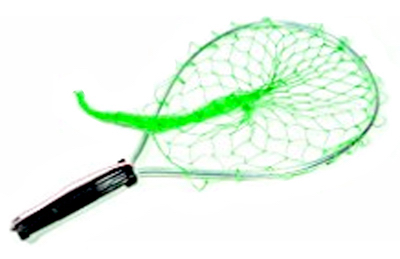 Trout Net w/Safety Cord