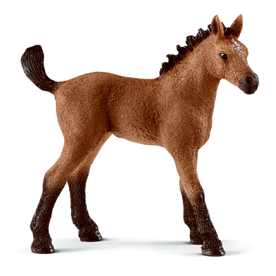 BRN Quarter Horse Foal