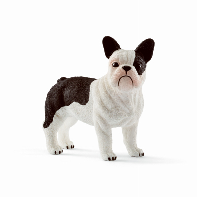 WHT French Bulldog