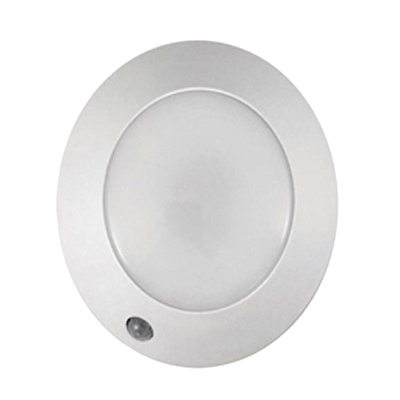 125L WW Ceiling Light