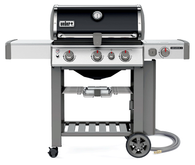 Gen SE330 BLK NAT Grill