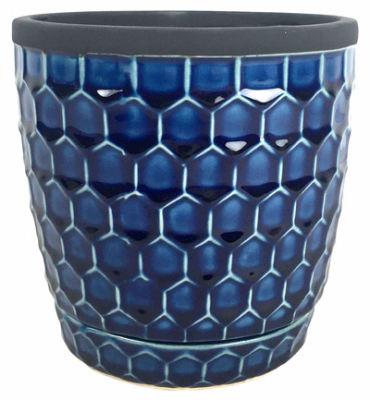 6"BLU Honeycomb Planter