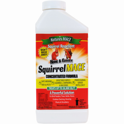 40OZ Squirrel Repellent