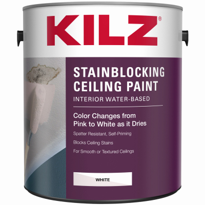 GAL White Ceiling Paint