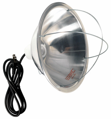 Brooder Lamp, 10" Reflector, 120V, 300W