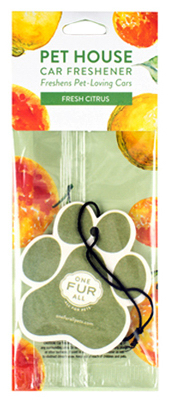 Citrus Car Freshener