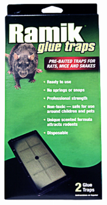 2-Pk. Rat Glue Board