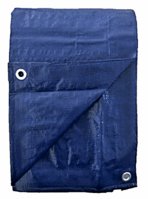 15x30 BLU Tarp Cover