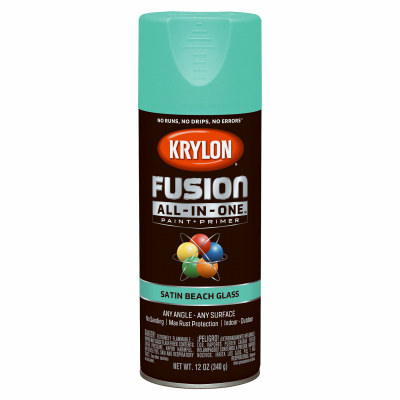 12OZ Beach Spray Paint