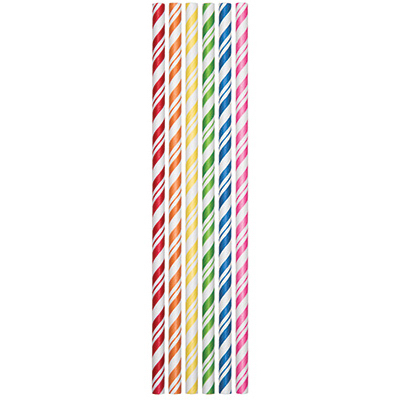 24CT Paper Straws ASSTD