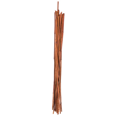12PK 5' Bamboo Stake