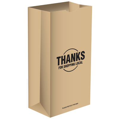 500PK 12LB Paper Bag