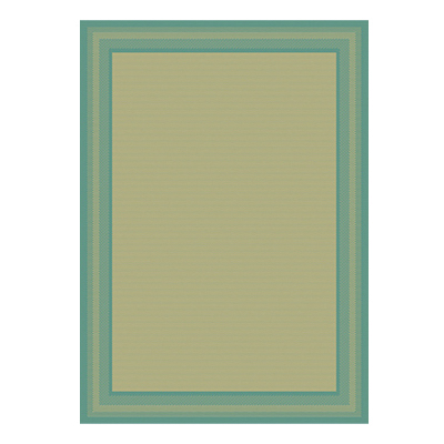 8x10 Aqua/Tan Border Ru