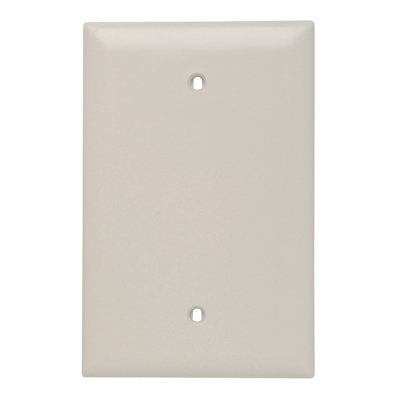 1G ALM Wall Plate