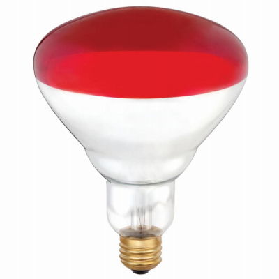 1PK 250W R40 RED HEAT Lamp