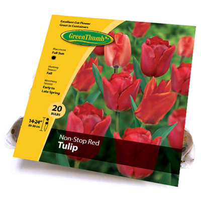 GT 20CTRED Tulip Bulbs