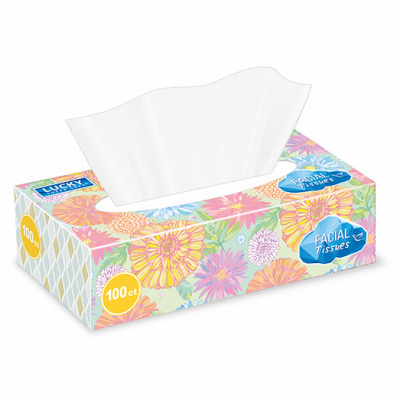 100CT Tissue Flat Box