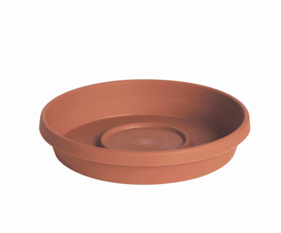 12" TC Terra Saucer