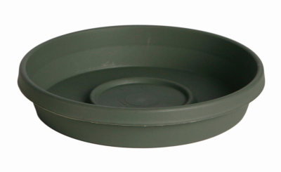 14" L GRN Terra Saucer