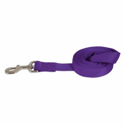 1x6 PURP 2Ply Dog Leash