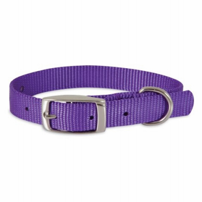 3/8x8-12PURP Dog Collar