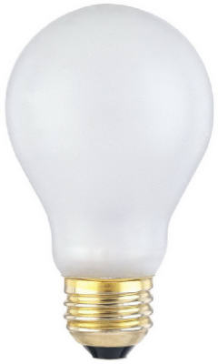 100W Tough Shell Bulb