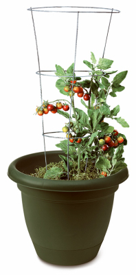 33" 3 Ring Tomato Cage