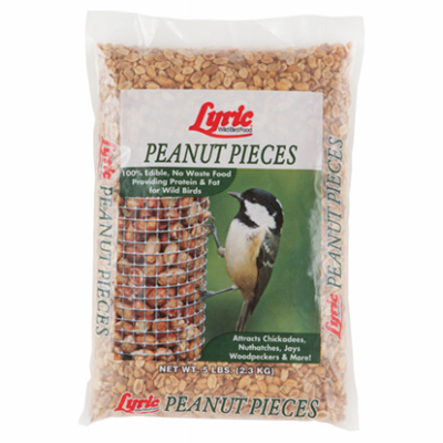 5LB Lyric Peanut Pieces