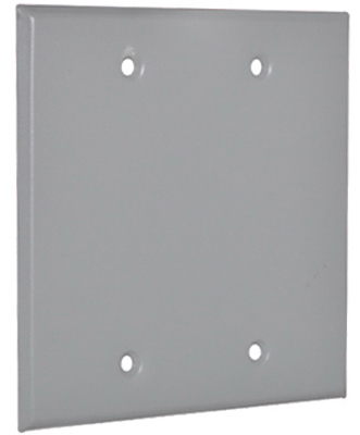 Gray WP 2G Blank Cover