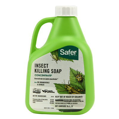 Safer Insect Soap 16oz Conc