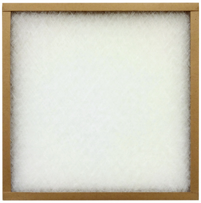 021625  Air Filter 16x25x2 FBG