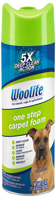 22 OZ Woolite Carpet Cleaner