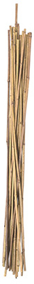 6PK 6' Bamboo Stake