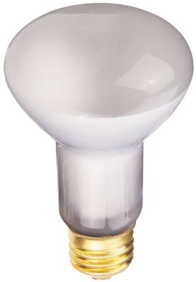 WP 45W R20 Refl Bulb