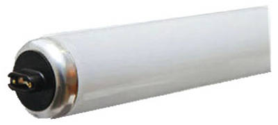 GE 85W 72" CW Fluo Bulb