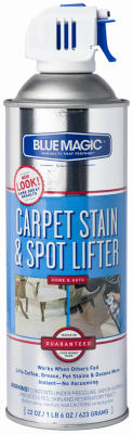 22OZ Carpet Stain & Spot Lifter