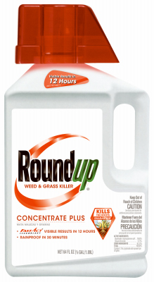 Roundup 1/2GAL Concentrate +
