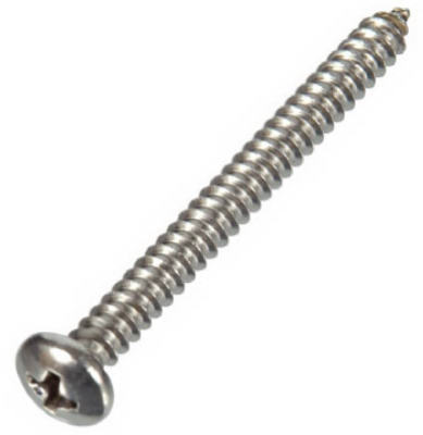 100PK 12x2 Phil Screw