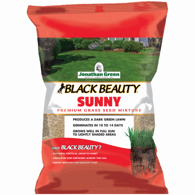 BB25LB Sun Grass Seed