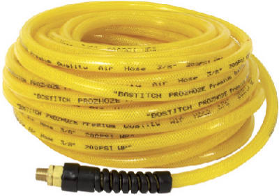 50' Pro Air Hose