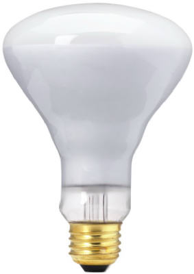 70809   WP Bulb 65W BR30 FLD