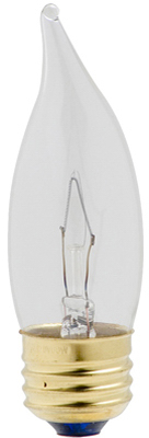 WP 2PK 25W CA11 BT Bulb