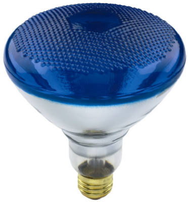 WP 100W BR38 Blue Flood Bulb