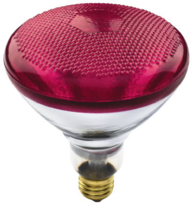 70894   WP Bulb 100W BR38RED FLD