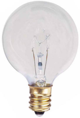 WP 2PK 25W White Globe Bulb