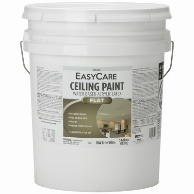 5gal Start Right Ceiling Paint