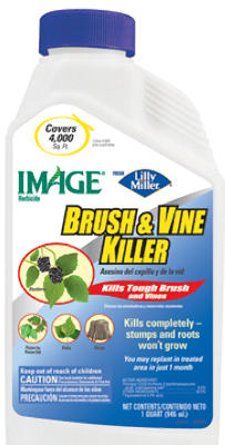 QT Brush/Vine Killer