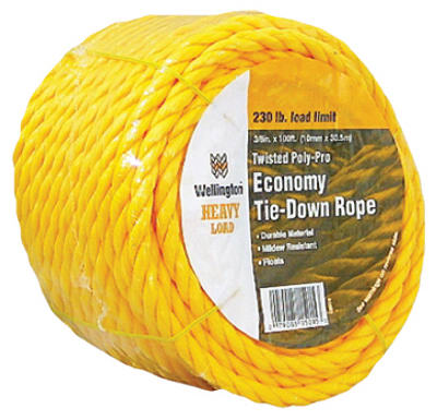 3/8"x100' YEL Poly Rope