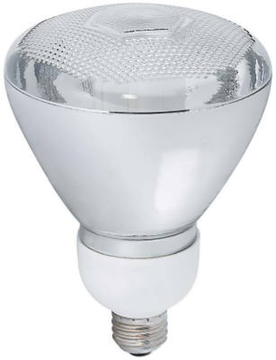 PA23SW  WP Lamp FLD 23W BR38 2P