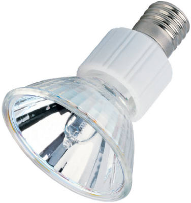 75W MR16 Halo Spot Bulb